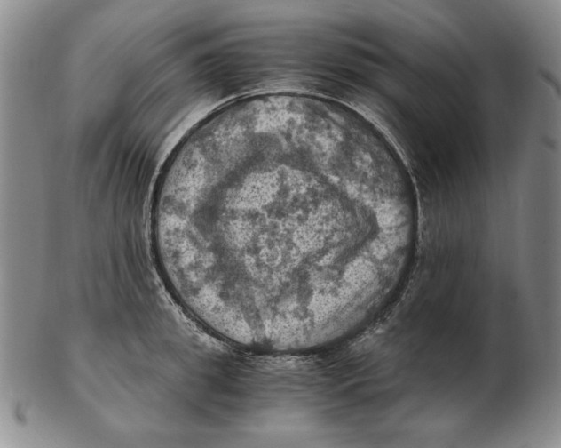 X0000103140949200809121751