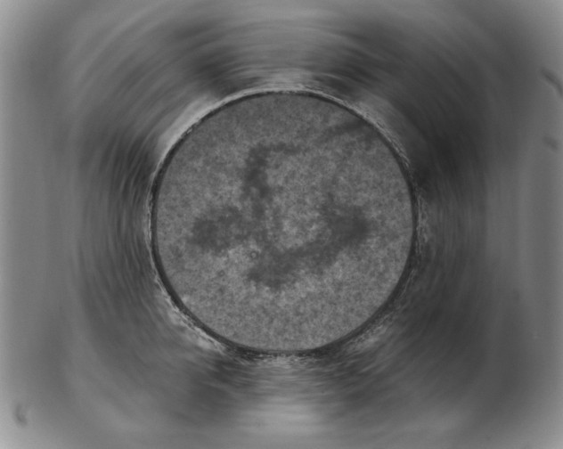 X0000103140950200809121751