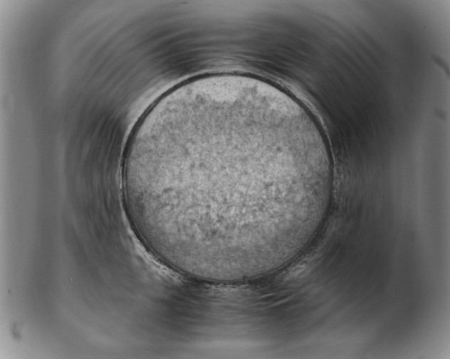 X0000103140951200809121751