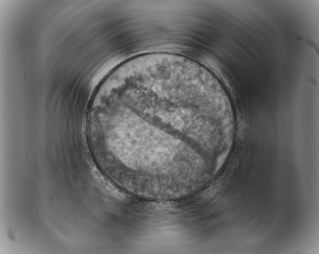 X0000103140952200809121751