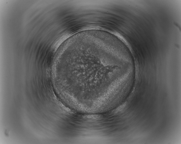 X0000103140953200809121751