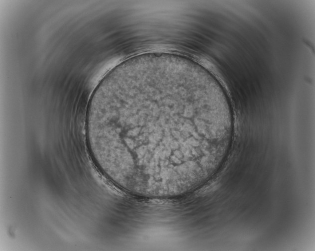 X0000103140954200809121751