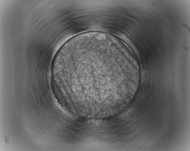 X0000103140955200809121751