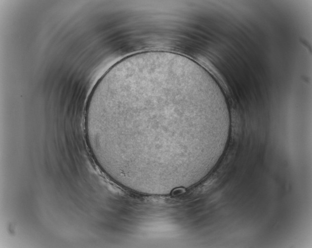 X0000103140956200809121751