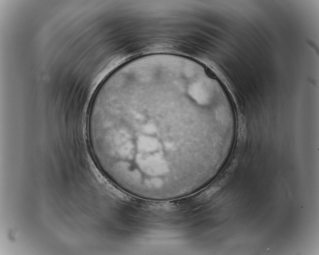 X0000103140957200809121751