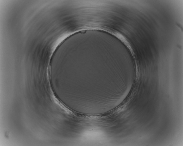 X0000103140958200809121751