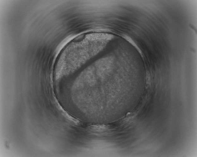 X0000103140959200809121751