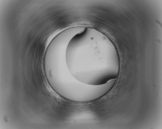 X0000103140960200809121751