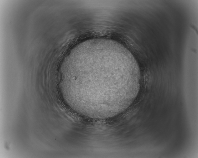 X0000103140961200809121750