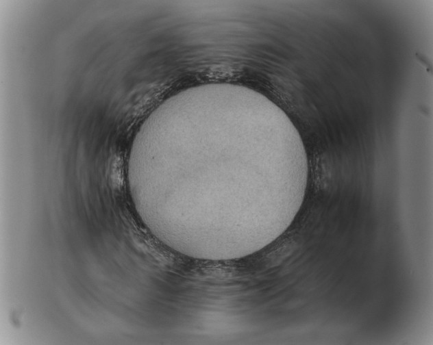 X0000103140962200809121750