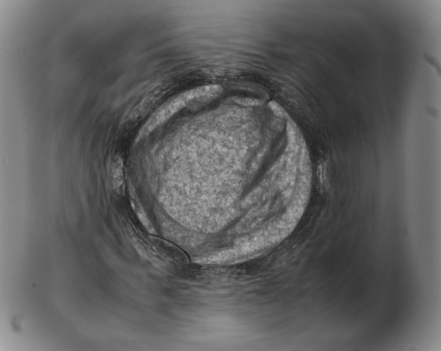 X0000103140963200809121750