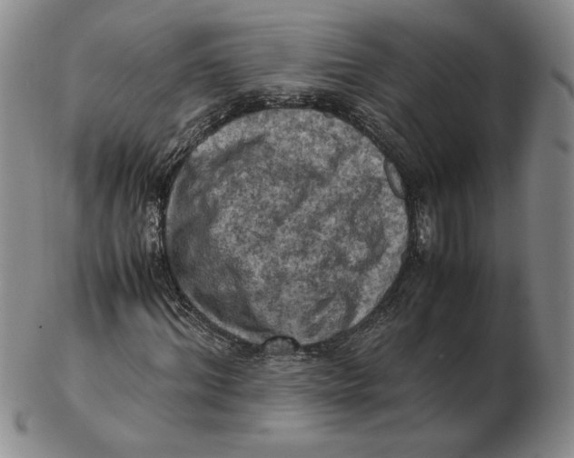 X0000103140964200809121750