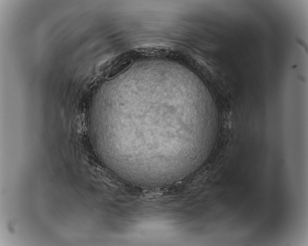 X0000103140965200809121750