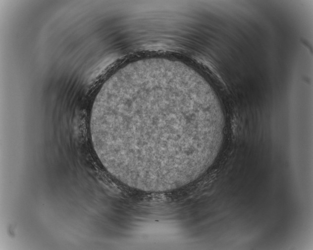 X0000103140968200809121750