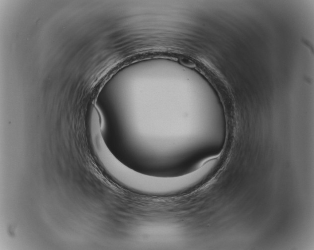 X0000103140969200809121750