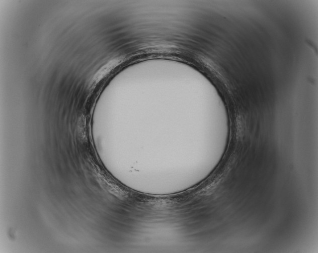 X0000103140970200809121750