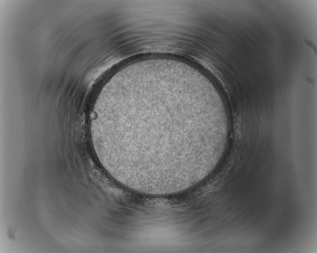 X0000103140971200809121750