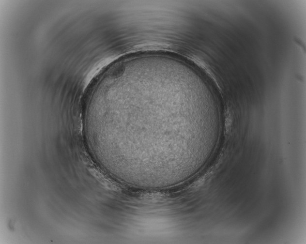 X0000103140973200809121750