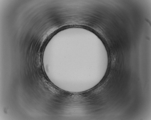 X0000103140974200809121750