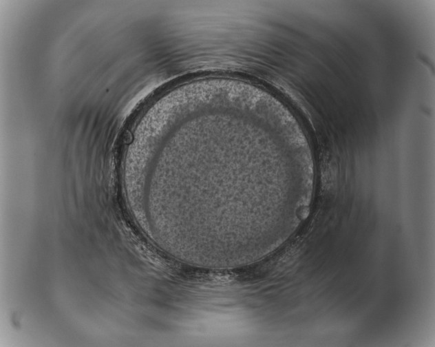 X0000103140975200809121750