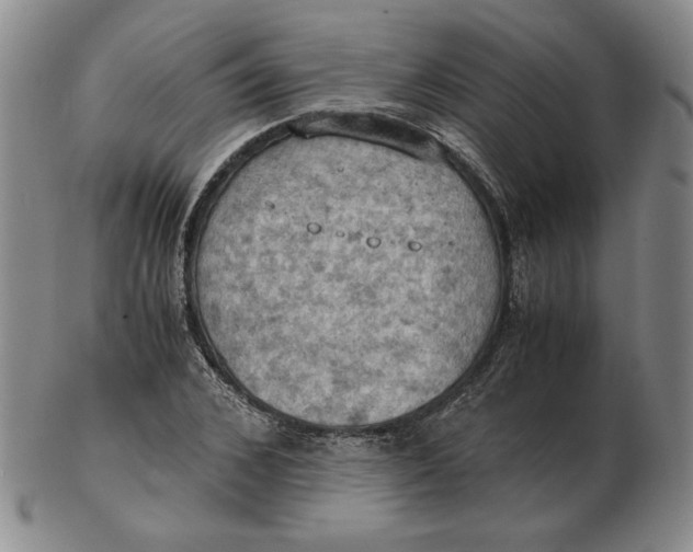 X0000103140976200809121750