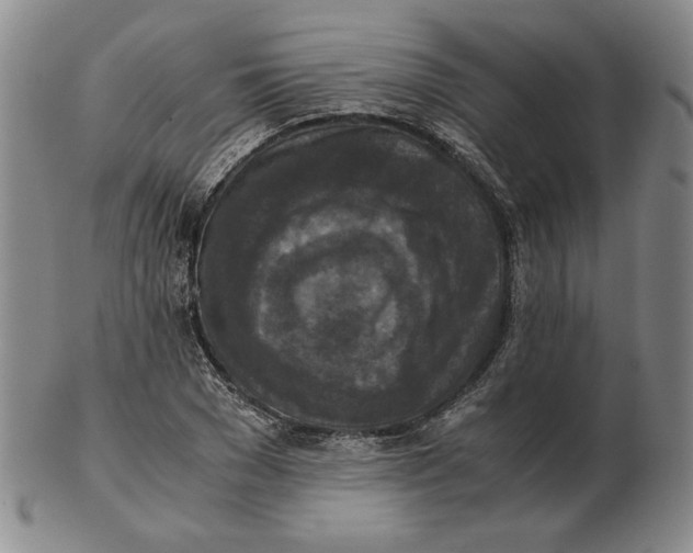 X0000103140977200809121750