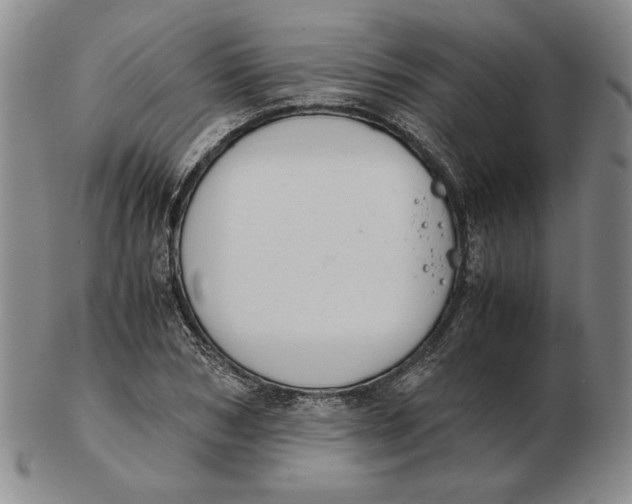 X0000103140978200809121750