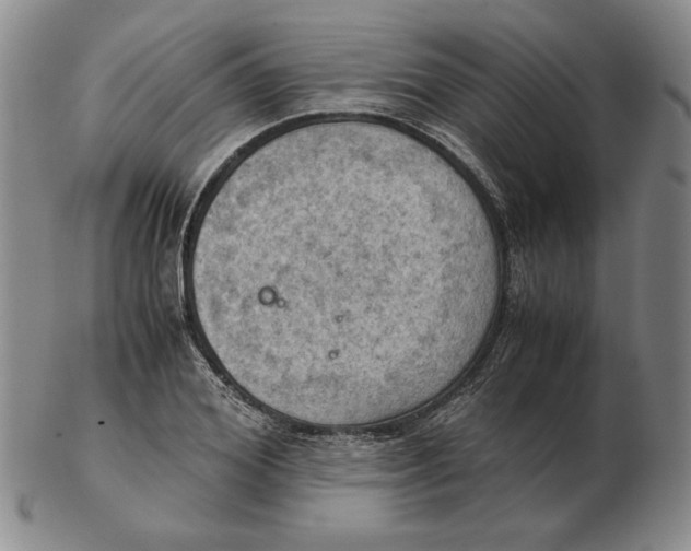 X0000103140980200809121750