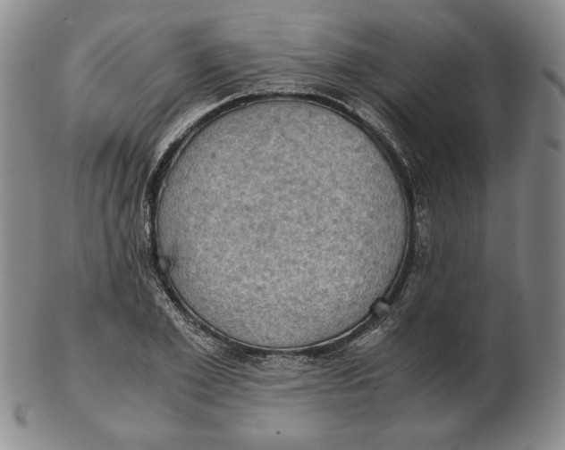 X0000103140981200809121750