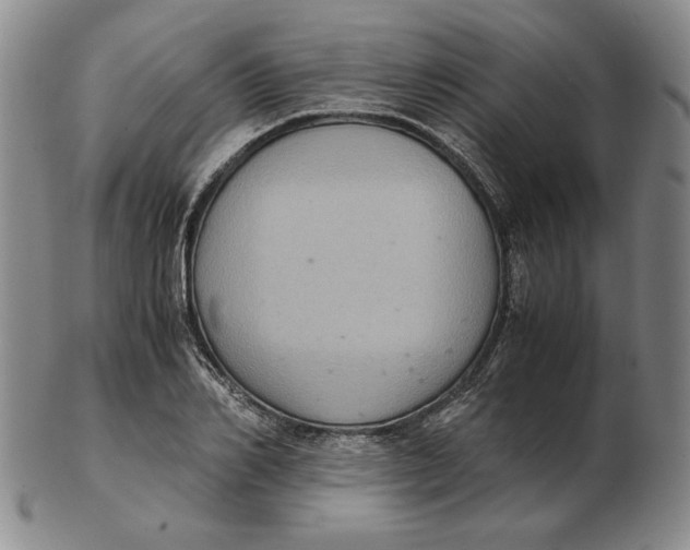 X0000103140982200809121750