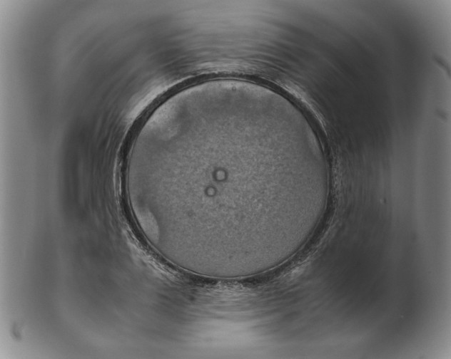 X0000103140983200809121750