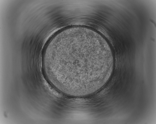 X0000103140984200809121750