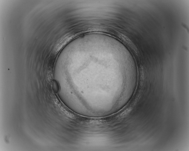 X0000103140985200809121750