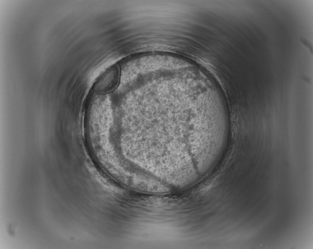 X0000103140987200809121750