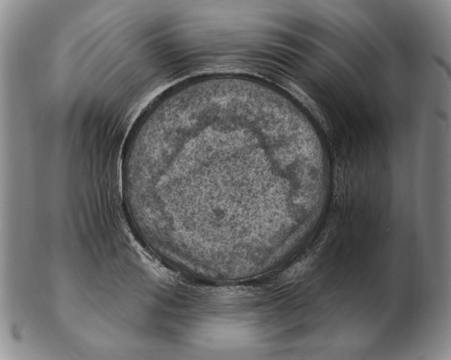 X0000103140988200809121750