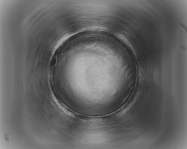 X0000103140989200809121750