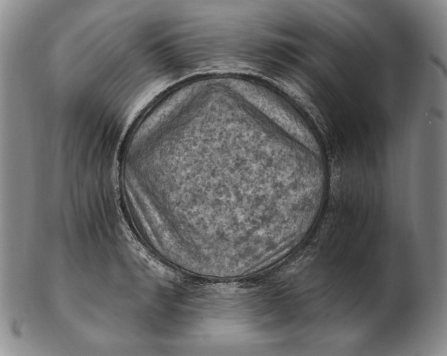 X0000103140990200809121750