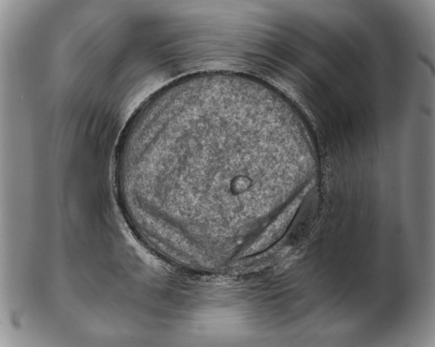 X0000103140991200809121750