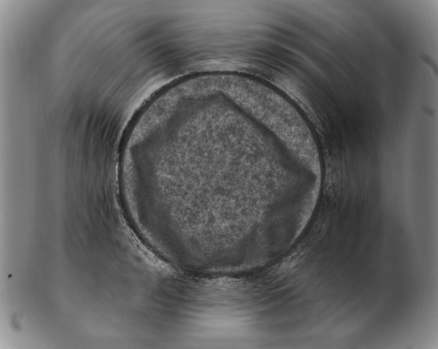 X0000103140992200809121750