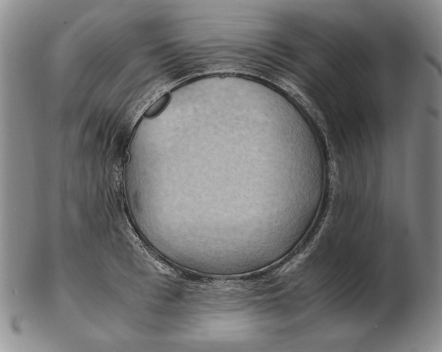 X0000103140993200809121750