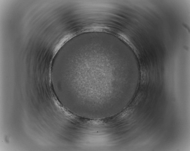 X0000103140994200809121750