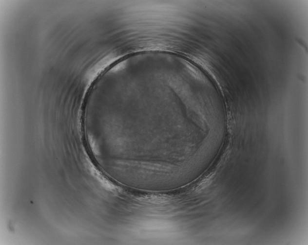 X0000103140995200809121750