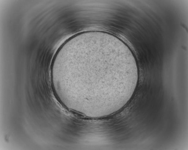 X0000103140996200809121750