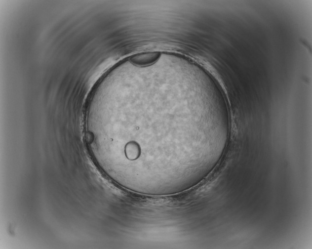 X0000103140997200809121750