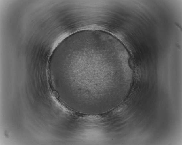 X0000103140998200809121750