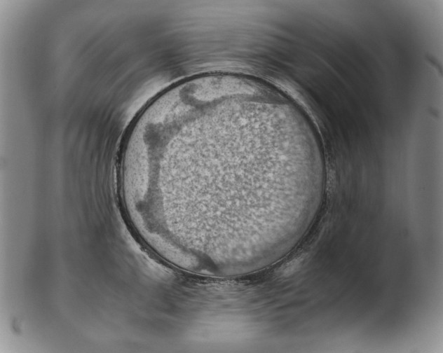 X0000103140999200809121750