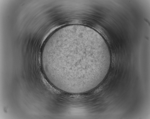 X0000103141000200809121750