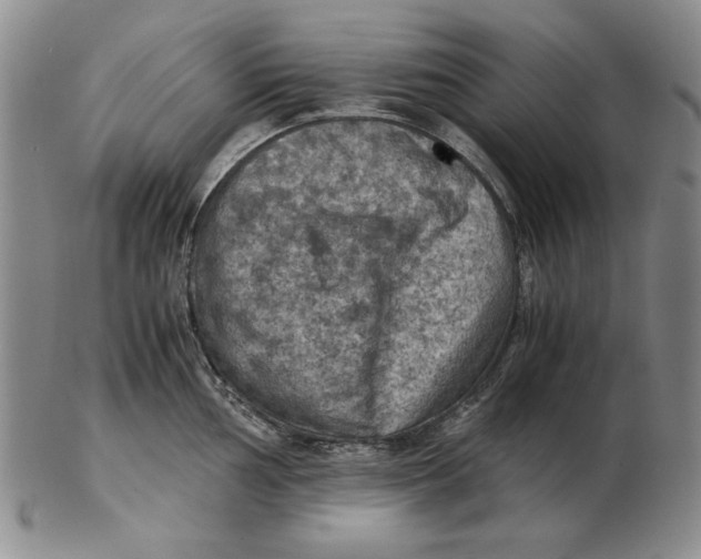 X0000103141002200809121750