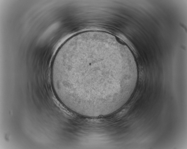 X0000103141004200809121750