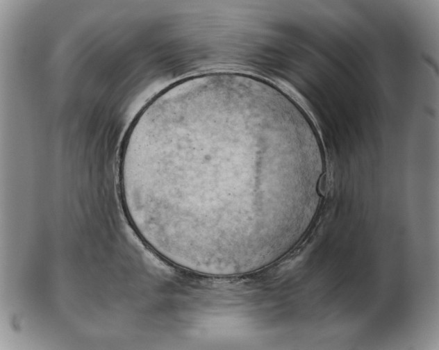 X0000103141005200809121750